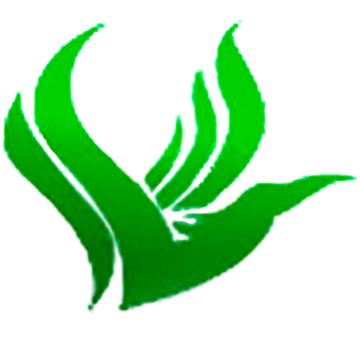 dongyloian