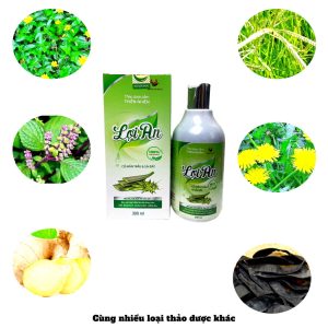 Thành phần thảo dược tắm Lợi An