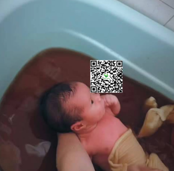 Lá trầu không trị hăm